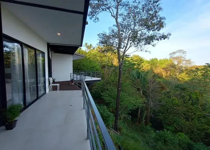 Laurel Jungle & Ocean